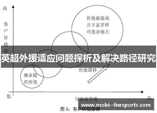 英超外援适应问题探析及解决路径研究