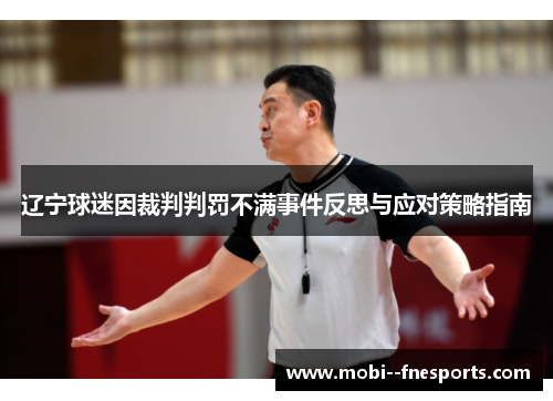 辽宁球迷因裁判判罚不满事件反思与应对策略指南