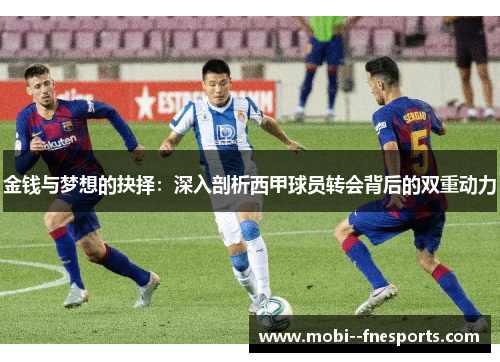 金钱与梦想的抉择：深入剖析西甲球员转会背后的双重动力