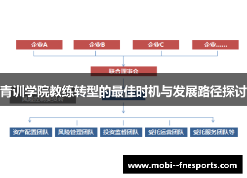 青训学院教练转型的最佳时机与发展路径探讨
